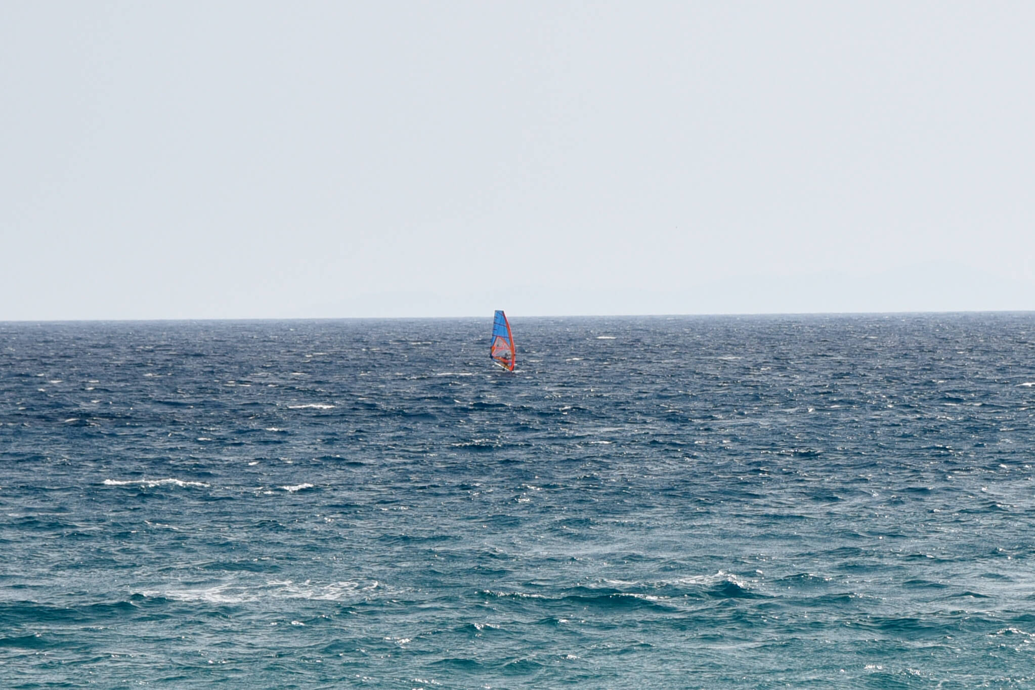 _DSC2186 (3)