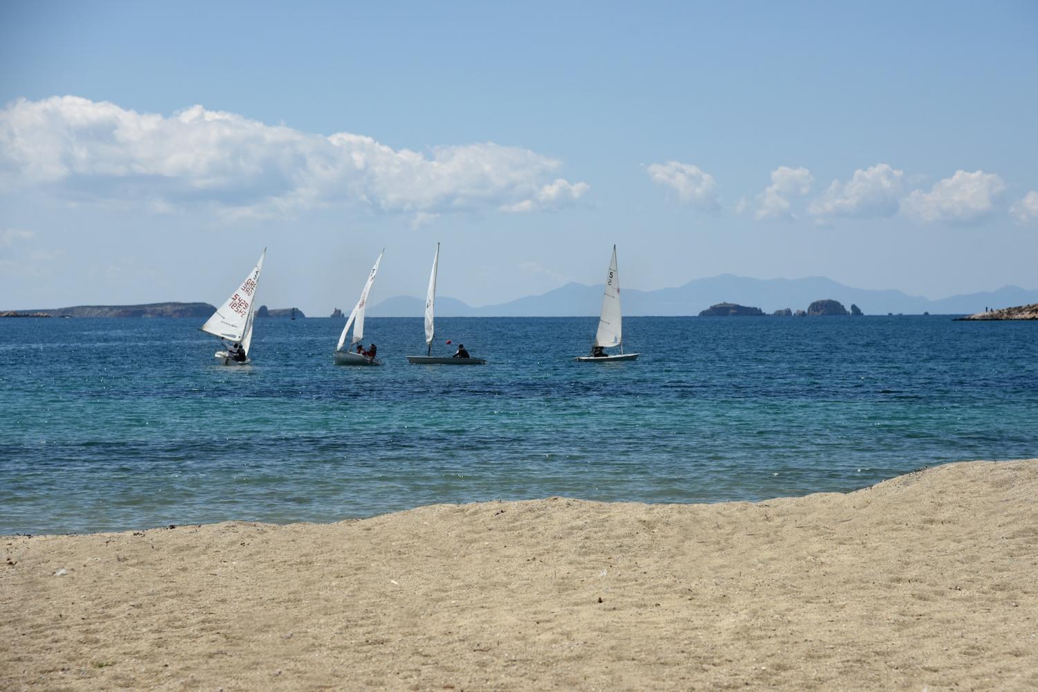 DSC_6737_0